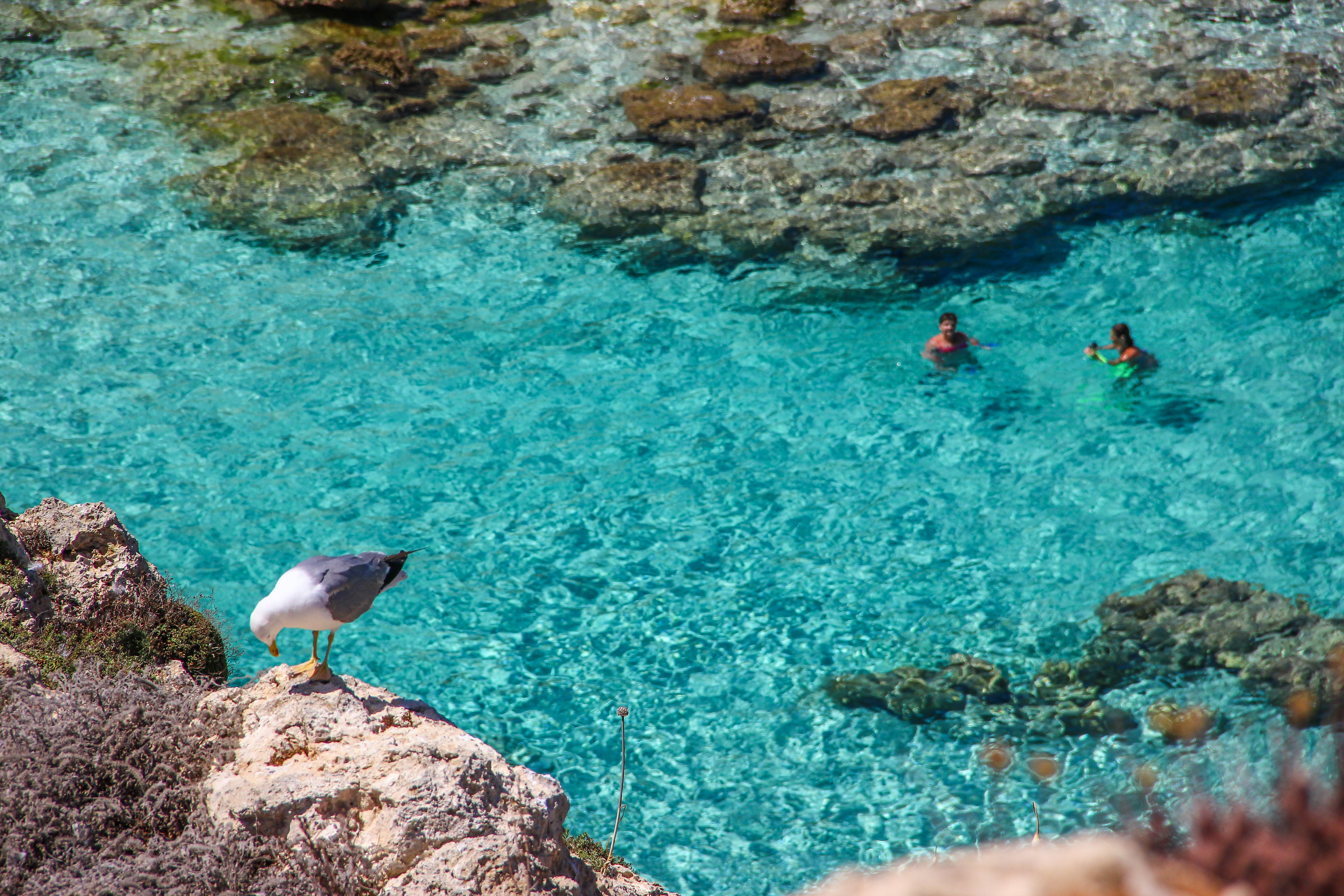 IMG_3092-2_TommasoSparma_HubTuristicoLampedusa.jpg 