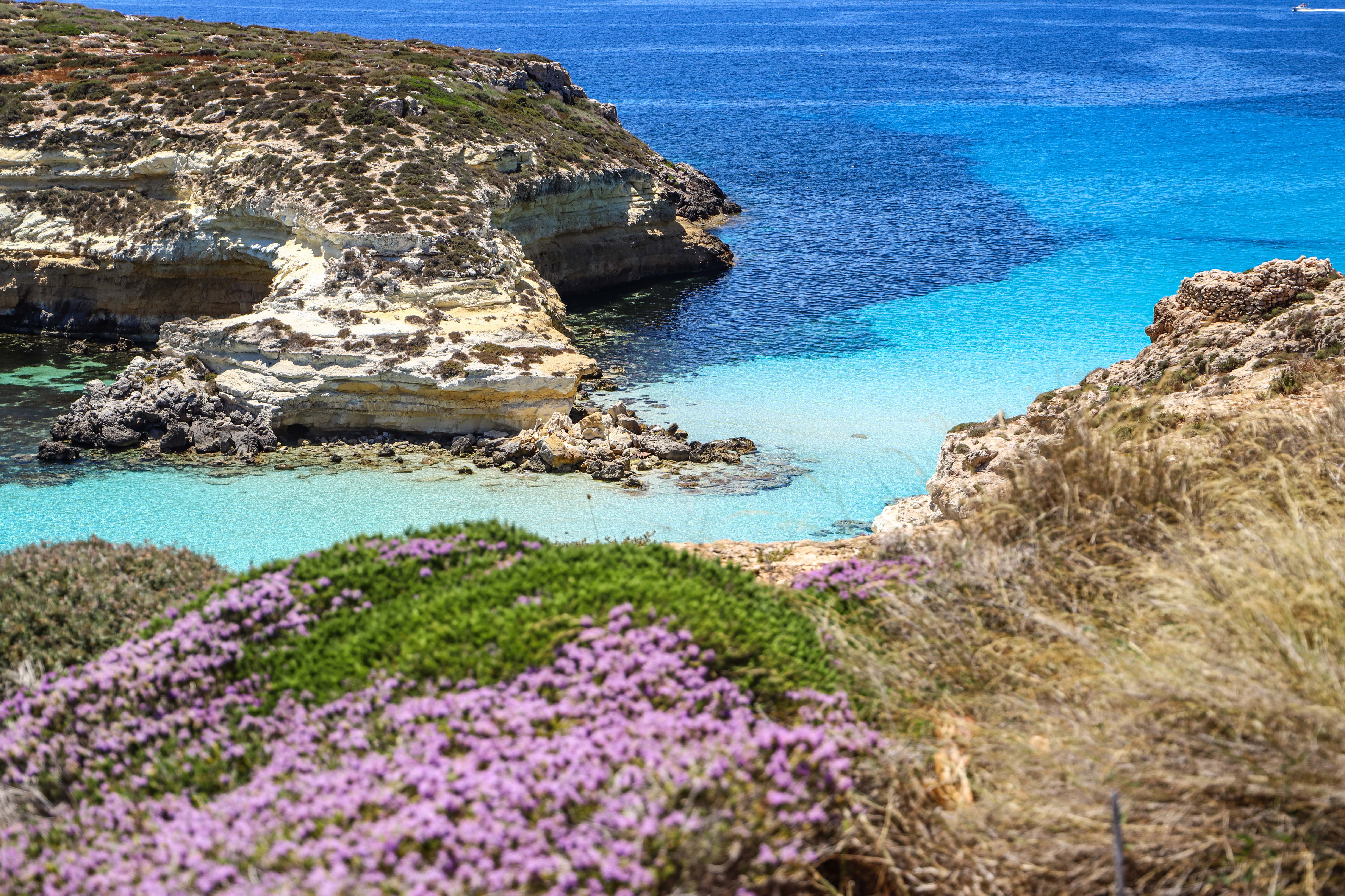 IMG_8760-2_TommasoSparma_HubTuristicoLampedusa.jpg 